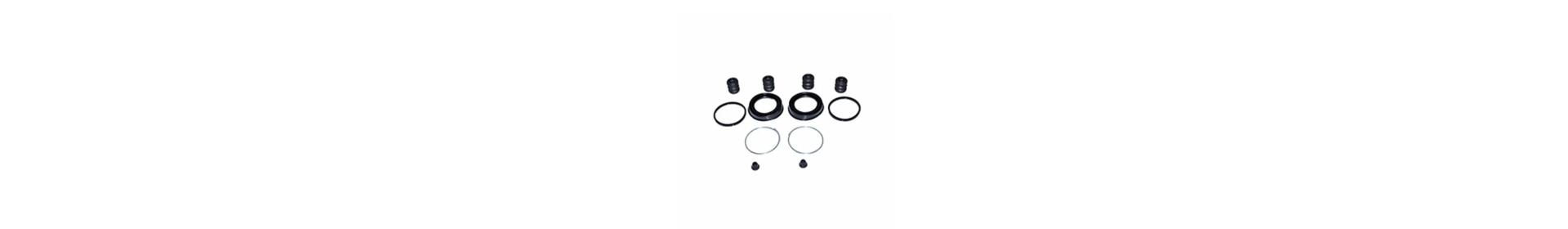 Kit Revisione Pinze Freno 4x4 | Ricambi Pinze | MagiGarage